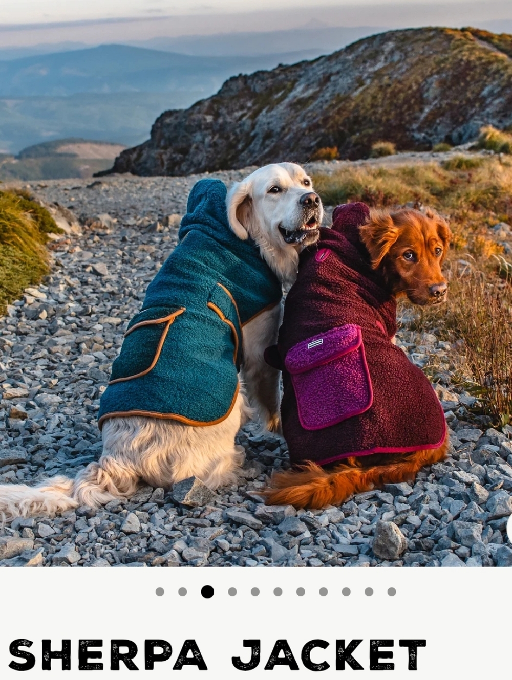 Wilderdog Sherpa Fleece Hooded Dog Jacket Turquoise Blue Large